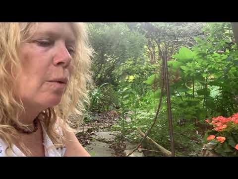 She Let Go a poem by Rev. Safire Rose