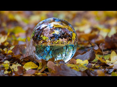 Please Call Me By My True Names A Poem By Thich Nhat Hanh